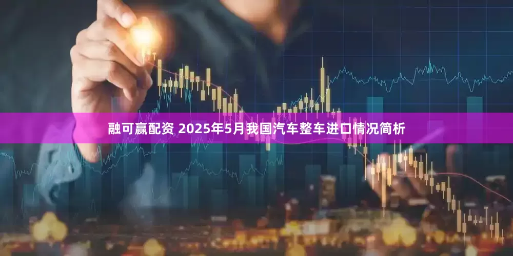 融可赢配资 2025年5月我国汽车整车进口情况简析