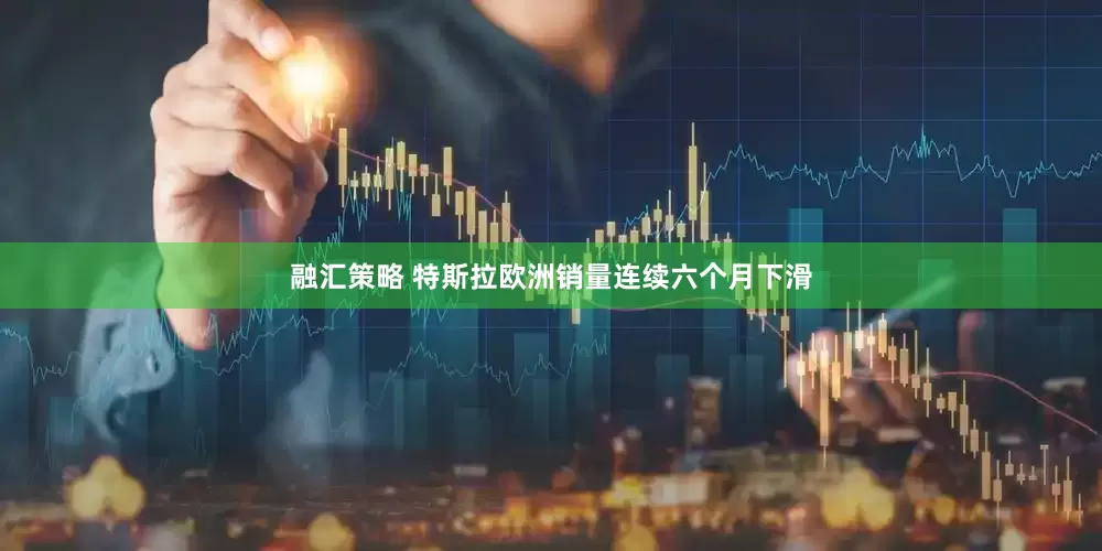 融汇策略 特斯拉欧洲销量连续六个月下滑